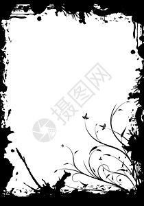 抽象的花岗植物装饰黑色框架矢量插图作品白色叶子背景图片
