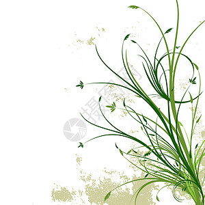 Grunge 花卉矢量背景创造力绿色绘画滚动装饰品插图叶子框架艺术横幅背景图片