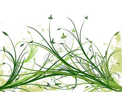 Grunge 花卉矢量背景横幅绿色框架滚动绘画艺术叶子创造力装饰品植物背景图片