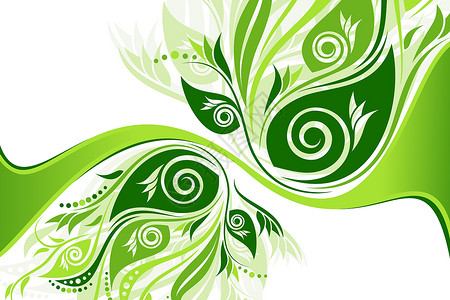 矢量花种背景插图创造力叶子滚动绘画植物绿色装饰品背景图片