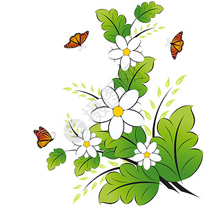 春花花蝴蝶叶子角落植物生长绿色插图白色背景图片