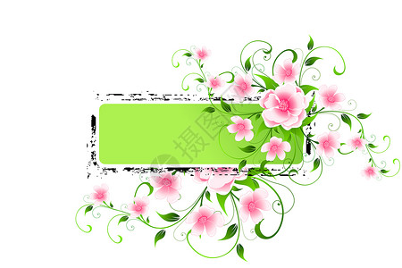 花卉背景绘画创造力装饰品广告植物叶子插图背景图片