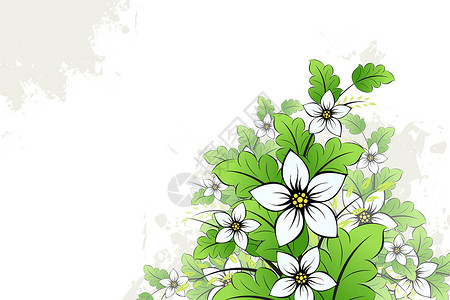 矢量锥花背景插图叶子植物空白创造力背景图片
