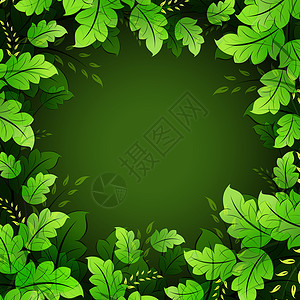 eps10 花框架植物空白透明度创造力叶子插图绿色背景图片