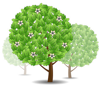 绿树图标白色插图花朵叶子艺术生长背景图片
