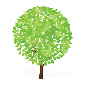 绿树生长回收插图叶子背景图片