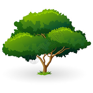 绿树回收插图叶子生长背景图片