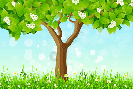 草丛绿树火花叶子插图绿色树干背景图片