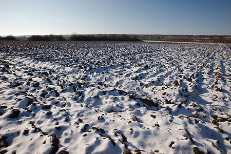 雪雪场谷物土地粮食场地环境农村生长生活食物天气高清图片