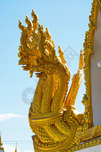东北抗联精神泰国东北部的佛像背景