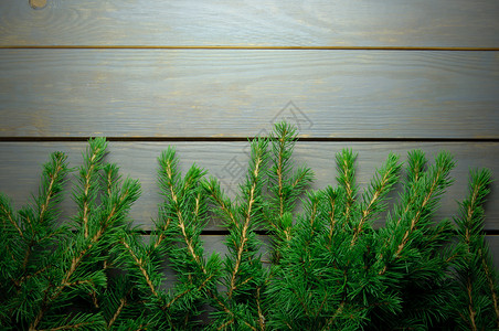 圣诞树框架桌子问候语空白松树分支机构边界木头问候背景图片