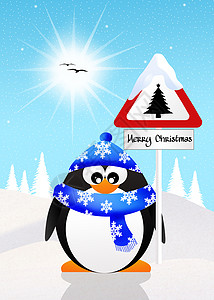 圣诞节企鹅白色帽子动物庆典树木插图路标围巾卡通片季节背景图片