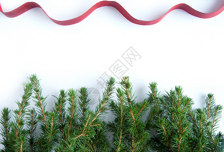 圣诞节框架分支机构空白问候松树边界丝绸丝带背景图片