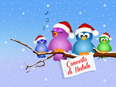鸟唱歌圣诞音乐会娱乐歌手明信片家庭庆典活动乐趣新年唱歌音乐背景