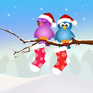 带圣诞袜子的鸟庆典活动交响乐家庭插图新年明信片卡通片娱乐乐趣背景图片