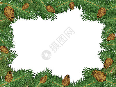 松树边框庆典松果植物新年框架插图背景图片
