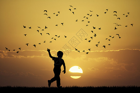 鸟群中的鸟群动物翅膀移民插图季节迁移鸟类日落天空打猎背景图片