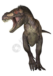 恐龙暴龙食肉插图捕食者爬虫攻击时代动物生物蜥蜴跑步高清图片