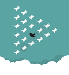 异类觉醒鸟群在天空中飞翔 有不同的概念商业分歧移民异质团体优胜者团队插图工作白色设计图片