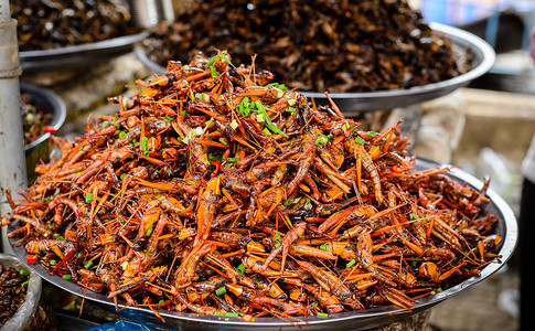解放碑好吃街柬埔寨的昆虫食品背景住民旅行美食家美食国家摊位文化蝗虫蚂蚱背景