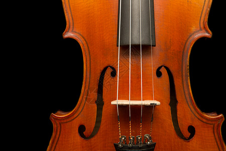 小提琴作物背景图片