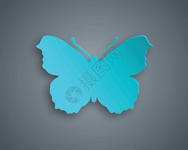 蓝蝴蝶卡片插图阴影昆虫动物蓝色白色背景图片