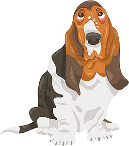 Basset 猎犬狗漫画插图卡通片猎犬黑色花斑犬类棕色鼻子平面小狗绘画图片