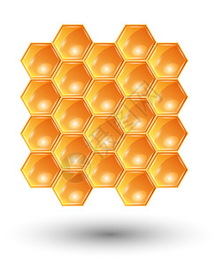 蜂窝蜜蜂细胞蜂巢六边形食物养蜂业梳子插图金子背景图片