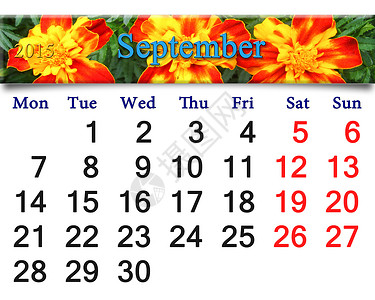 2015年9月日历中带有标签符的2015年9月日历季节数字丝带花瓣桌子花坛叶子天鹅绒植物日记背景图片