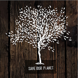 木质上的树影 生态海报概念背景图片