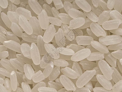 短期日本短谷物大米粮本底水平粮食糖类短粒白色抛光食物淀粉粳稻背景