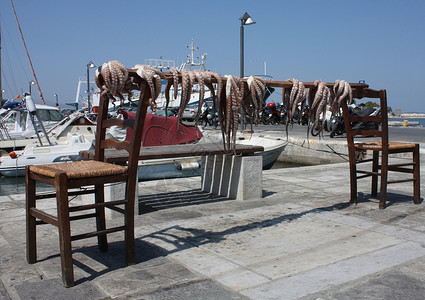 横条鱼的素材将章鱼排在椅子之间的横条之上背景