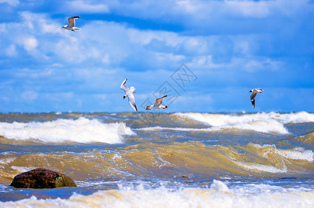 透明青蓝色海浪机上冲浪海景全景海浪流动晴天阳光支撑环境观光背景