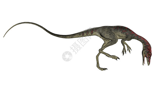 共生恐龙行走  3D食肉动物爬虫绿色插图野生动物侏罗纪白色背景图片
