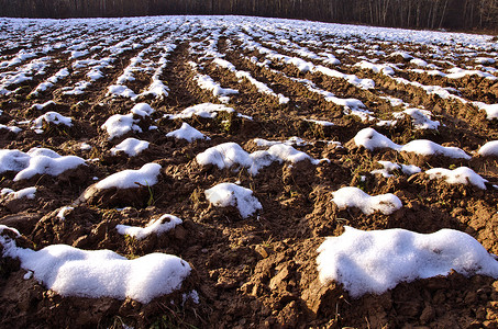 雪覆盖的土地场景培育高清图片