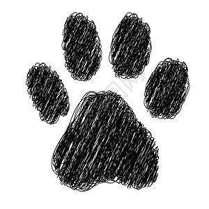 虎足印脚印条纹艺术印刷小狗野生动物豹属框架痕迹动物插画