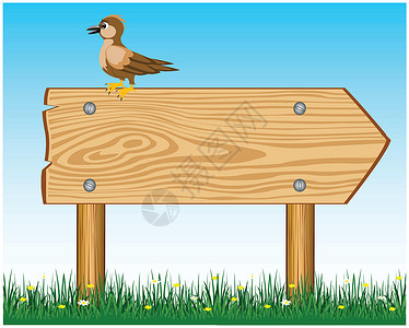 鸟麻雀木质标志两极草本植物海报木板路标插图广告牌麻雀韧带指针设计图片
