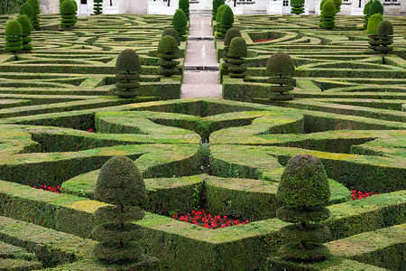 法国城堡的装饰花园 非常美观灌木树篱公园生长盒子衬套恶棍胡同草本植物背景
