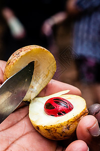 Nutmeg 水果切削开放高清图片