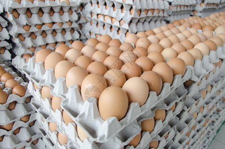 去壳鸡蛋灰纸包裹中的鸡蛋母鸡家禽食品皮蛋食物团体农场蛋壳液体鸭蛋背景