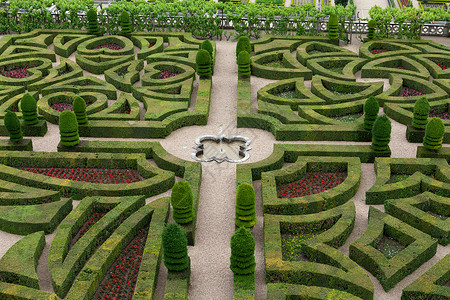 加杜斯莫华法国城堡的装饰花园 非常美观衬套草本植物公园生长恶棍灌木胡同盒子树篱背景
