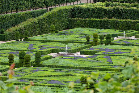 法国卢瓦尔谷花园和城堡树篱盒子恶棍生长公园草本植物薰衣草胡同灌木喷泉背景