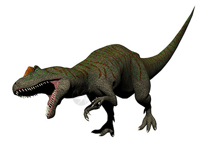 恐龙同龙  3d爬虫白色怪物攻击古生物学动物收费侏罗纪恐龙背景图片