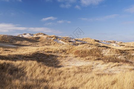瓦登海安姆山的沙丘飞沙自然保护区沼泽地海滩沙滩海岸背景