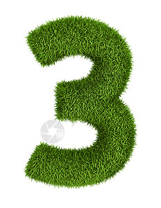 字母插图3号天然草环境绿色植物字母字体草地绿色植物花园地球插图背景