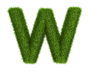 低度自然草根插图绿色植物生长植物绿色小写字体草地生态字母背景图片