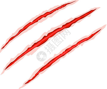 伤口有很多划痕Claw 抓抓矢量爪子插图划痕动物老虎裂伤荒野危险红色插画