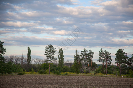 夏季风景农业树木天空耕作国家土壤乡村绿色背景图片