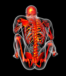 骨架起舞3d为人体骨架的医学插图x光肌肉手臂颅骨骨骼生理解剖学背景