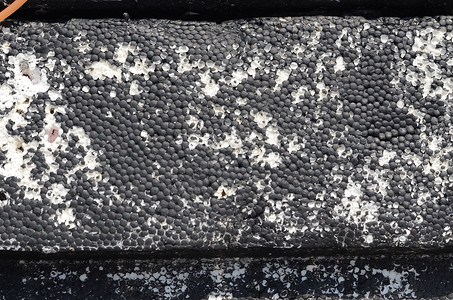 聚苯乙烯结构划痕白色塑料黑色背景图片